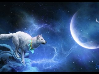 Обои звезды, планеты, белый, волк, мистика, stars, planet, white, wolf, mystic разрешение 2882x1871 Загрузить