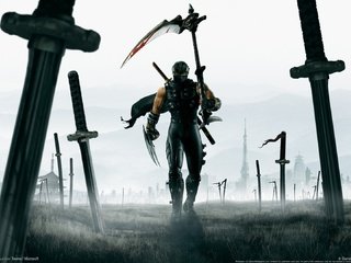 Обои герои, арт, ninja gaiden 2, воин, катаны, поле, битва, ниндзя, плащ, коса, мечи, heroes, art, warrior, katana, field, battle, ninja, cloak, braid, swords разрешение 1920x1080 Загрузить