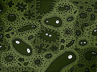 Обои глаза, узор, взгляд, плоский, биология, микромир, eyes, pattern, look, flat, biology, microcosm разрешение 2560x1600 Загрузить