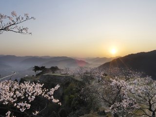 Обои горы, туман, япония, сакура, mountains, fog, japan, sakura разрешение 1920x1080 Загрузить