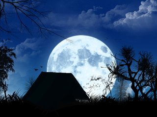 Обои полнолуние, изба, the full moon, hut разрешение 2560x1600 Загрузить