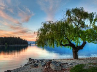 Обои озеро, дерево, закат, новая зеландия, lake, tree, sunset, new zealand разрешение 1920x1080 Загрузить