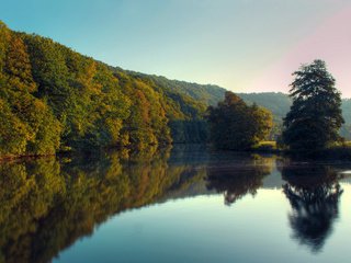 Обои деревья, озеро, река, лес, лето, trees, lake, river, forest, summer разрешение 1920x1200 Загрузить