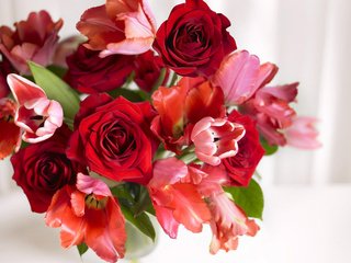 Обои розы, весна, букет, тюльпаны, roses, spring, bouquet, tulips разрешение 1920x1200 Загрузить