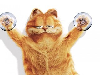 Обои кот, гарфилд, cat, garfield разрешение 1920x1200 Загрузить