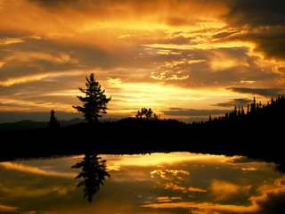 Обои небо, вечер, озеро, лес, закат, отражение, ель, the sky, the evening, lake, forest, sunset, reflection, spruce разрешение 2000x1333 Загрузить