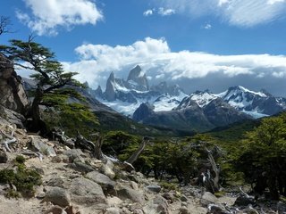 Обои деревья, горы, скалы, камни, trees, mountains, rocks, stones разрешение 2560x1600 Загрузить