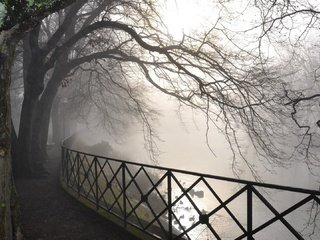 Обои деревья, река, парк, туман, рассвет, забор, trees, river, park, fog, dawn, the fence разрешение 1920x1080 Загрузить