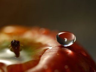 Обои вода, капля, фрукты, яблоко, крупным планом, water, drop, fruit, apple, closeup разрешение 1920x1200 Загрузить