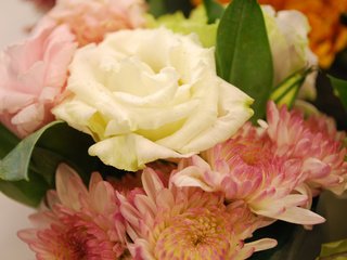Обои цветы, роза, букет, хризантемы, flowers, rose, bouquet, chrysanthemum разрешение 2560x1600 Загрузить