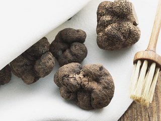 Обои гриб, трюфель, mushroom, truffle разрешение 1920x1200 Загрузить