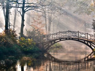 Обои деревья, природа, мостик, лучи, парк, кусты, романтика, речка, trees, nature, the bridge, rays, park, the bushes, romance, river разрешение 4288x2848 Загрузить