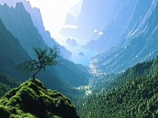 Обои горы, дерево, море, туман, красивый вид, mountains, tree, sea, fog, view разрешение 1920x1080 Загрузить