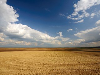 Обои небо, облака, поле, горизонт, the sky, clouds, field, horizon разрешение 1920x1080 Загрузить