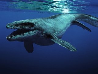 Обои монстр, динозавр, под водой, морской обитатель, мозозавр, monster, dinosaur, under water, sea creatures, mosasaur разрешение 1920x1080 Загрузить