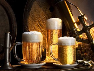 Обои пиво, бочки, хмель, пивные кружки, beer, barrels, hops, beer mugs разрешение 1920x1080 Загрузить