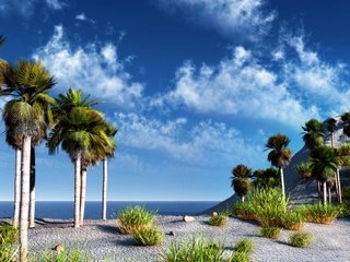 Обои небо, море, пальмы, the sky, sea, palm trees разрешение 2048x1280 Загрузить