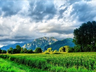 Обои небо, трава, облака, деревья, горы, природа, the sky, grass, clouds, trees, mountains, nature разрешение 1920x1200 Загрузить