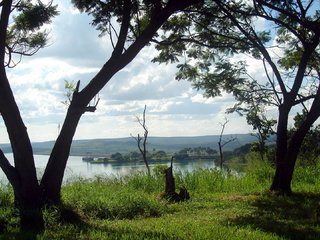 Обои деревья, река, берег, trees, river, shore разрешение 1920x1080 Загрузить