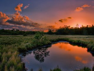 Обои трава, вода, природа, дерево, закат, отражение, лужа, grass, water, nature, tree, sunset, reflection, puddle разрешение 1920x1080 Загрузить