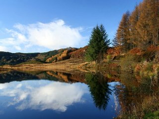 Обои трава, облака, деревья, озеро, река, лес, отражение, grass, clouds, trees, lake, river, forest, reflection разрешение 1920x1080 Загрузить