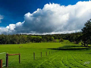 Обои трава, облака, зелень, поле, забор, следы, пастбище, grass, clouds, greens, field, the fence, traces, pasture разрешение 1920x1200 Загрузить