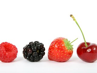 Обои малина, ягода, клубника, белый фон, вишня, ежевика, raspberry, berry, strawberry, white background, cherry, blackberry разрешение 1920x1329 Загрузить