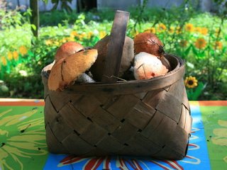 Обои природа, осень, грибы, корзина, грибы в лукошке, nature, autumn, mushrooms, basket, mushrooms in a basket разрешение 1920x1280 Загрузить