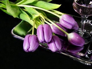 Обои цветы, бокал, тюльпаны, вино, поднос, сиреневые, flowers, glass, tulips, wine, tray, lilac разрешение 1920x1080 Загрузить