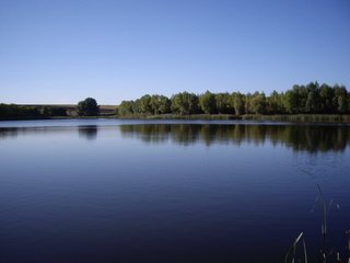 Обои деревья, озеро, лес, горизонт, лето, trees, lake, forest, horizon, summer разрешение 2592x1944 Загрузить