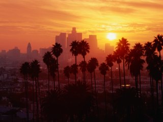 Обои закат, город, небоскребы, пальмы, sunset, the city, skyscrapers, palm trees разрешение 3884x2564 Загрузить
