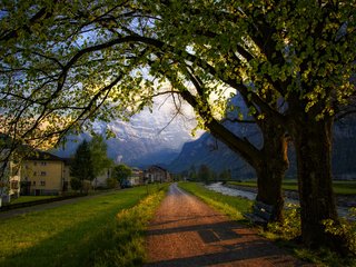 Обои дорога, деревья, вечер, швейцария, весна, road, trees, the evening, switzerland, spring разрешение 2560x1600 Загрузить