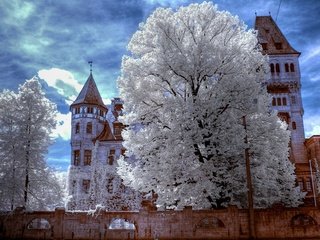 Обои зима, трансильвания, замок дракулы, winter, transylvania, dracula's castle разрешение 1920x1200 Загрузить