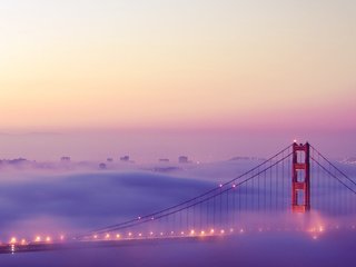 Обои утро, туман, сан-франциско, morning, fog, san francisco разрешение 2560x1600 Загрузить