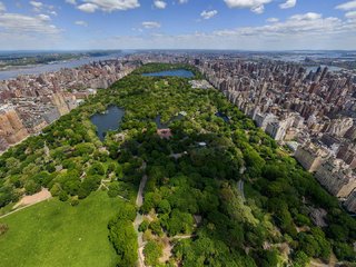 Обои нью-йорк, центральный парк, new york, central park разрешение 1920x1080 Загрузить