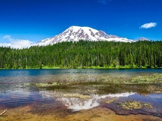 Обои озеро, национальный парк маунт-рейнир, горы, снег, природа, лес, отражение, сша, сиэтл, lake, national park mount rainier, mountains, snow, nature, forest, reflection, usa, seattle разрешение 2560x1600 Загрузить