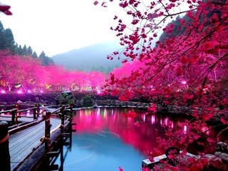 Обои цветы, деревья, озеро, горы, весна, flowers, trees, lake, mountains, spring разрешение 2000x1338 Загрузить