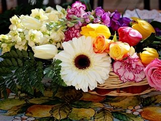 Обои цветы, композиция, розы, гвоздики, букет, корзина, тюльпаны, герберы, гербера, tyulpany, rozy, gvozdiki, flowers, composition, roses, clove, bouquet, basket, tulips, gerbera разрешение 4200x2763 Загрузить