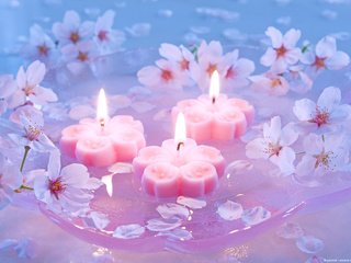 Обои свечи, сакура, японская вишня, candles, sakura, japanese cherry разрешение 1920x1200 Загрузить