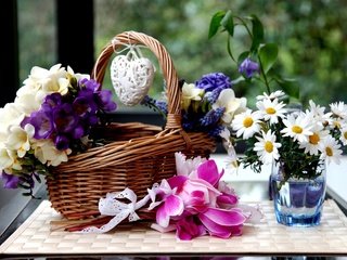 Обои цветы, ромашки, корзинка, цикламены, гиацинты, фрезии, flowers, chamomile, basket, cyclamen, hyacinths, freesia разрешение 3600x2430 Загрузить