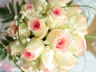 Обои праздниг, cvety, rozy, svadba, prazdnik разрешение 4288x2848 Загрузить