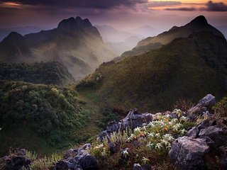 Обои небо, цветы, горы, камни, тучи, таиланд, растительность, the sky, flowers, mountains, stones, clouds, thailand, vegetation разрешение 1920x1200 Загрузить