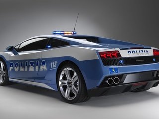 Обои policiya разрешение 1920x1200 Загрузить