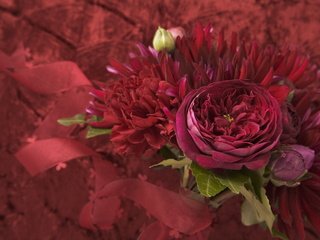 Обои cvety, fioletovyj, listya, buket, l, bordovyj, malinovyj разрешение 2560x1920 Загрузить