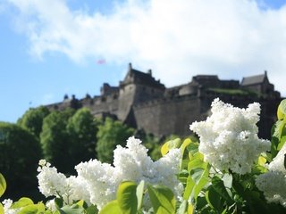 Обои цветы, замок, весна, белая, сирень, боке, сирена, cvety, zamok, flowers, castle, spring, white, lilac, bokeh, siren разрешение 3000x2000 Загрузить