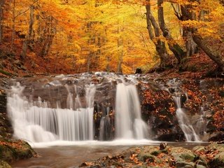 Обои деревья, природа, лес, листва, водопад, осень, опадающая, trees, nature, forest, foliage, waterfall, autumn, falling разрешение 1920x1183 Загрузить