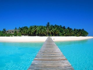 Обои песок, пляж, пальмы, океан, остров, тропики, мальдивы, sand, beach, palm trees, the ocean, island, tropics, the maldives разрешение 1920x1080 Загрузить
