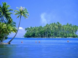 Обои пальмы, остров, тропики, palm trees, island, tropics разрешение 1920x1080 Загрузить