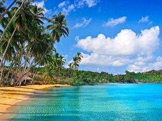 Обои песок, пляж, пальмы, тропики, sand, beach, palm trees, tropics разрешение 2612x1469 Загрузить