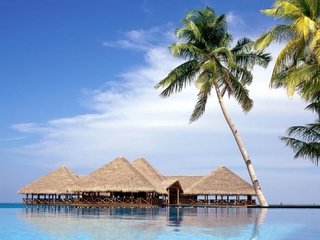 Обои пейзаж, пляж, пальмы, океан, бунгало, мальдивские острова, landscape, beach, palm trees, the ocean, bungalow, maldives разрешение 1920x1080 Загрузить